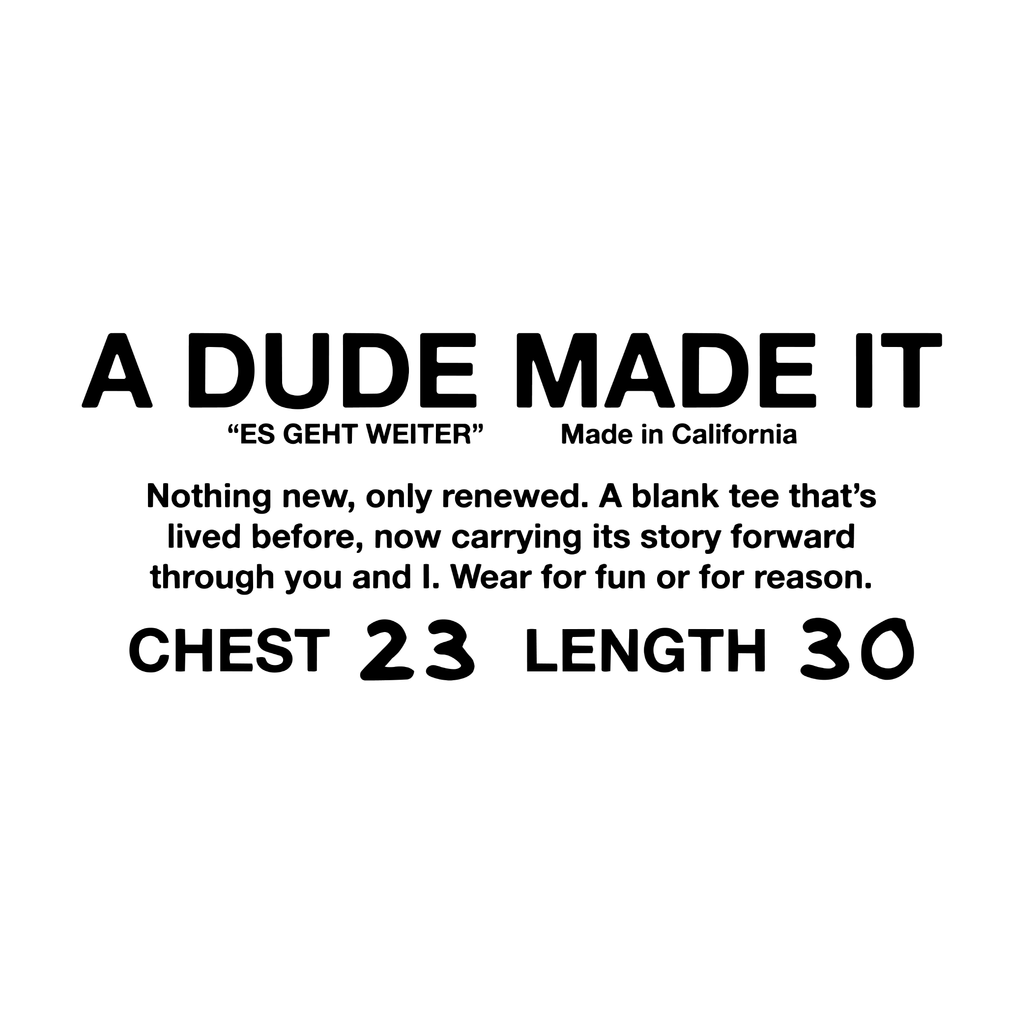 009-06
